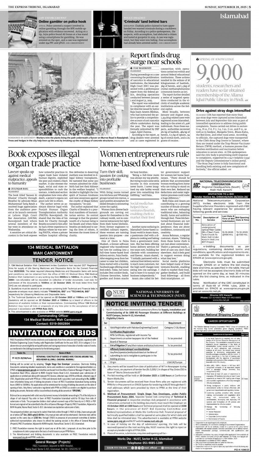 epaper image