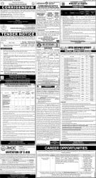 epaper image