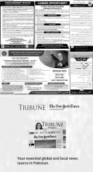 epaper image