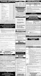 epaper image