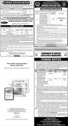 epaper image