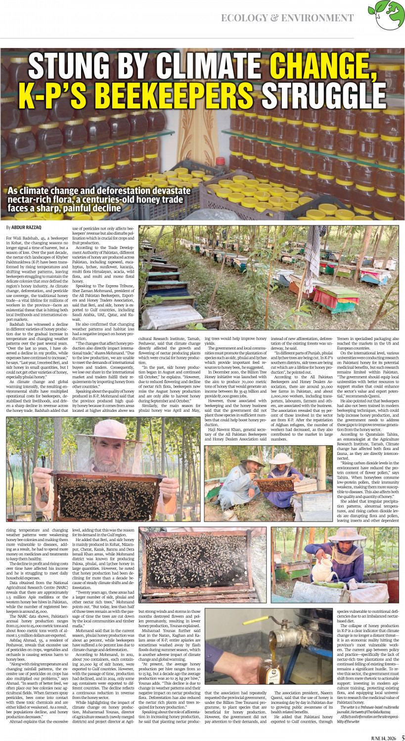 epaper image