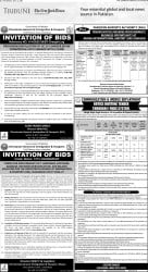 epaper image