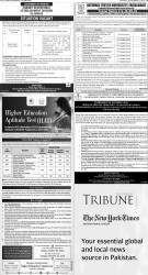 epaper image