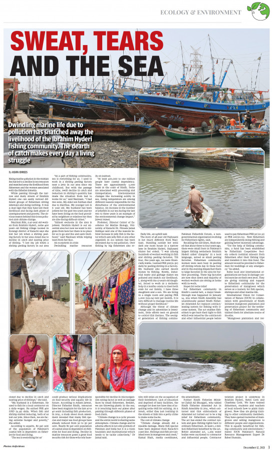 epaper image