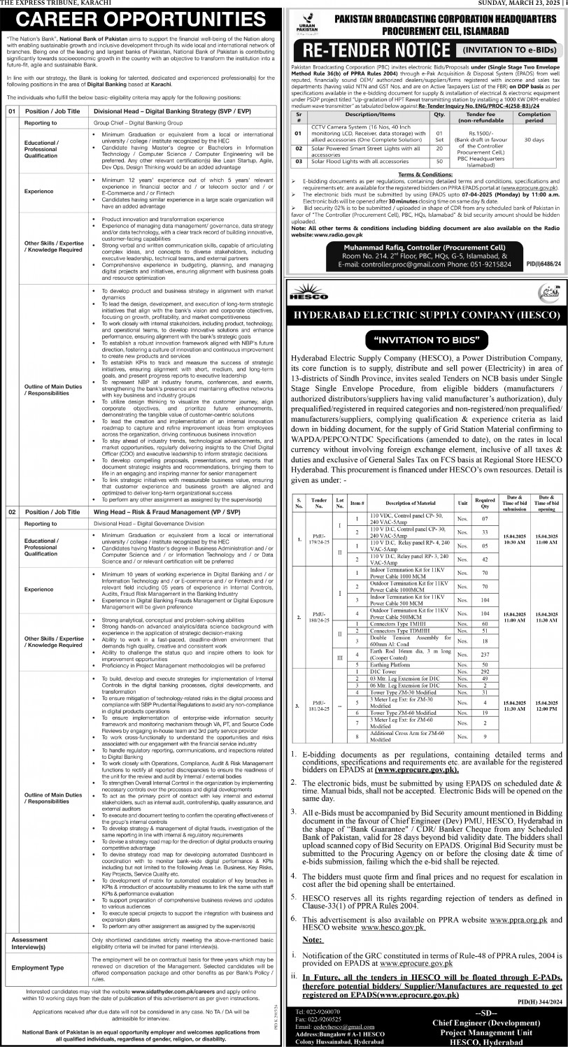 epaper image