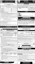 epaper image