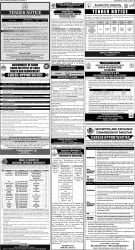 epaper image