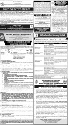 epaper image