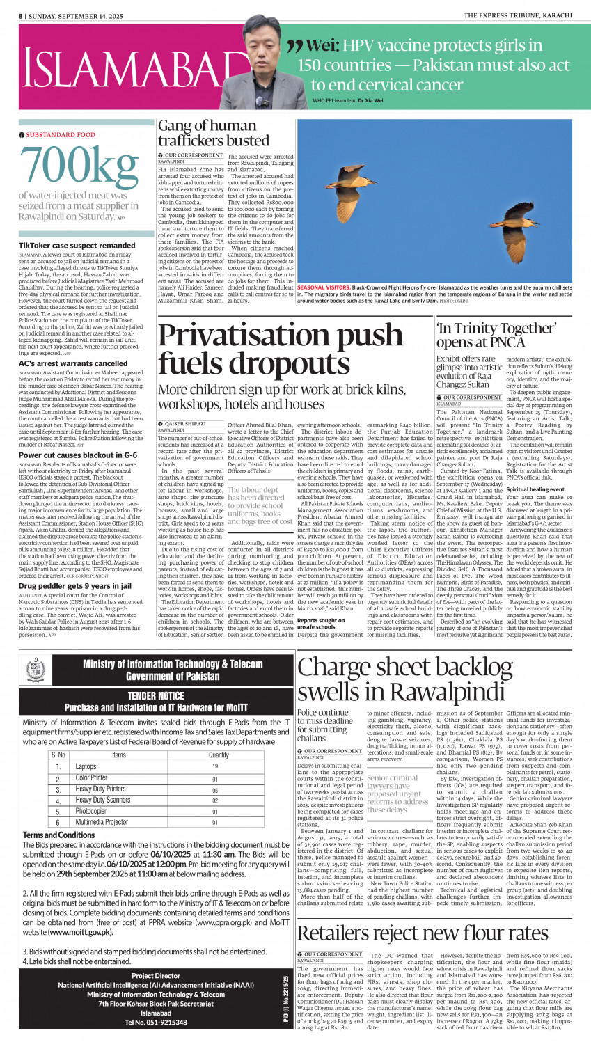 epaper image