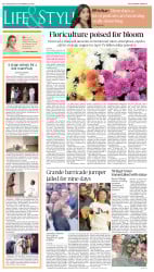epaper image