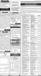 epaper image