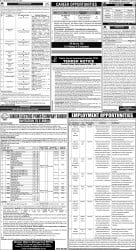epaper image