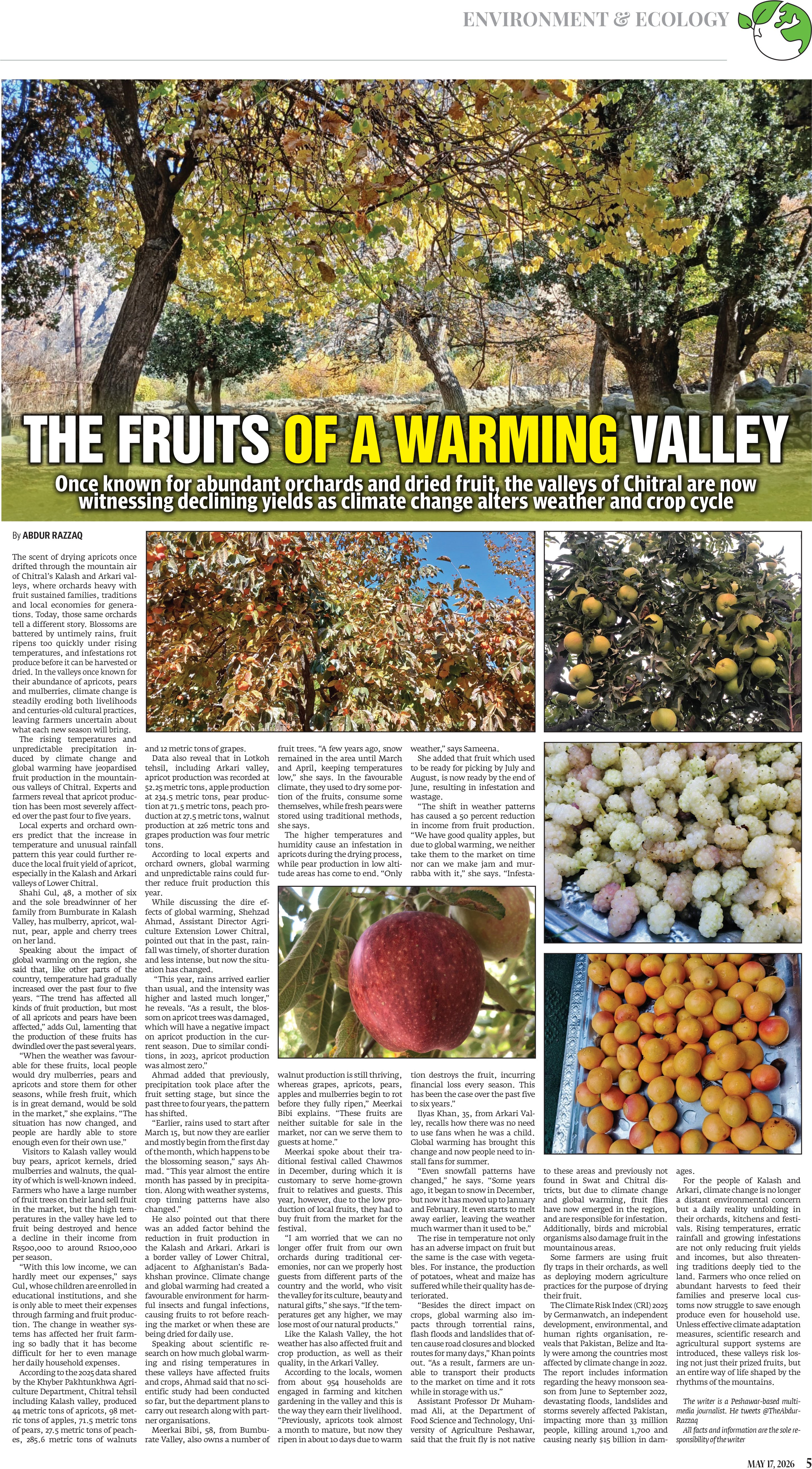 epaper image