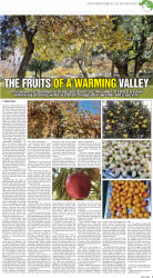 epaper image