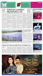 epaper image