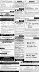 epaper image