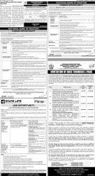 epaper image
