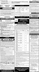 epaper image