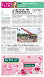 epaper image