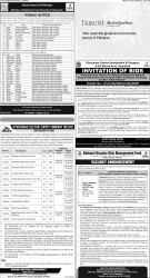 epaper image