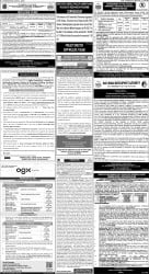 epaper image
