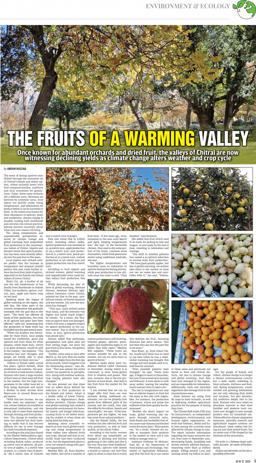 epaper image