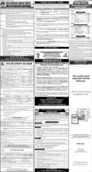 epaper image