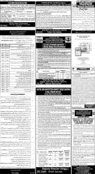 epaper image