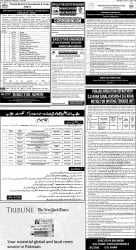 epaper image