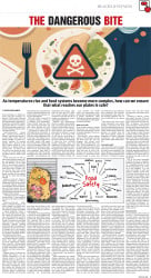 epaper image
