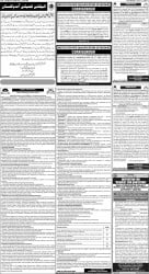 epaper image