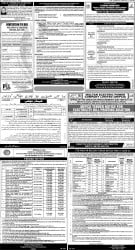 epaper image
