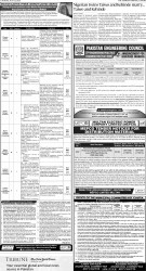 epaper image