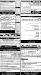 epaper image