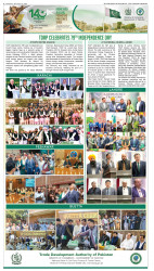 epaper image