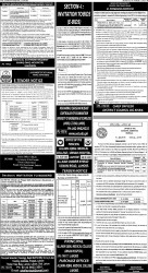 epaper image
