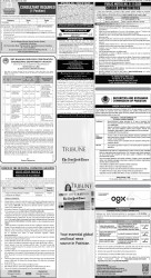 epaper image