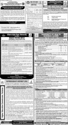 epaper image
