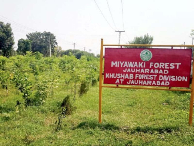 karachi s jauharabad is being presented as a model of miyawaki forest by following the original japanese method photo express file karachi s jauharabad is being presented as a model of miyawaki forest by following the original japanese method photo express file
