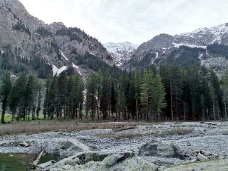 a majestic view of the snow capped mountains and dense forests of kumrat valley in dir upper khyber pakhtunkhwa photo express