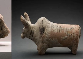 from harappan horns to shiva s steed