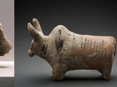 from harappan horns to shiva s steed