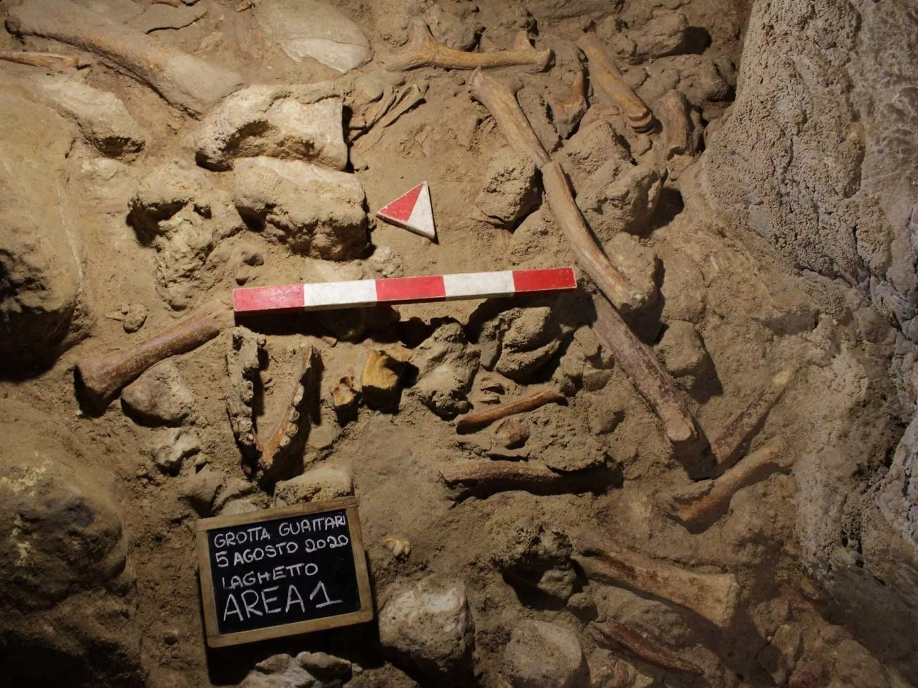 evidence of nine neanderthals found in italian cave evidence of nine neanderthals found in italian cave