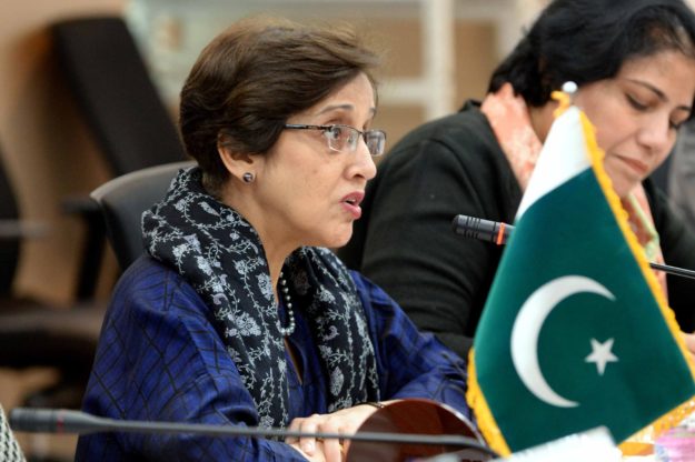 Foreign Secretary Tehmina Janjua. PHOTO: EXPRESS