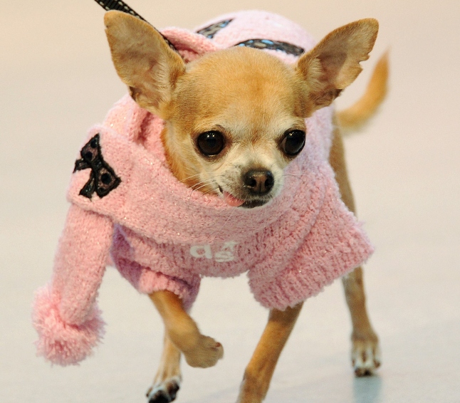 Updated Oct 12, 2010