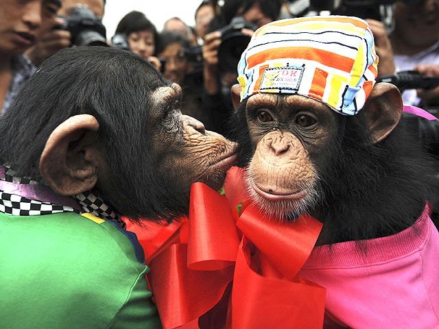 Updated Sep 27, 2010