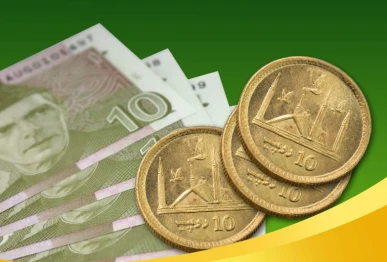 pakistani 10 rupees note against coins screengrab
