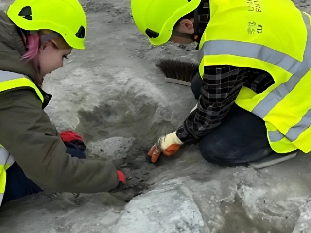 major dinosaur footprint discovery expands britain s jurassic trackways major dinosaur footprint discovery expands britain s jurassic trackways