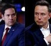 elon musk and marco rubio clash in tense trump cabinet meeting elon musk and marco rubio clash in tense trump cabinet meeting
